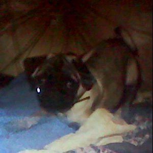 Meet your Posher, Lee